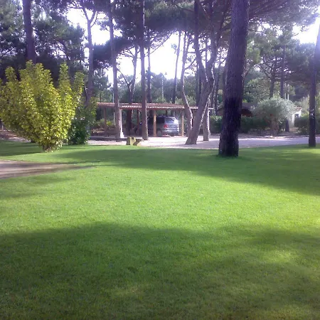 Com Jardim De Luxo