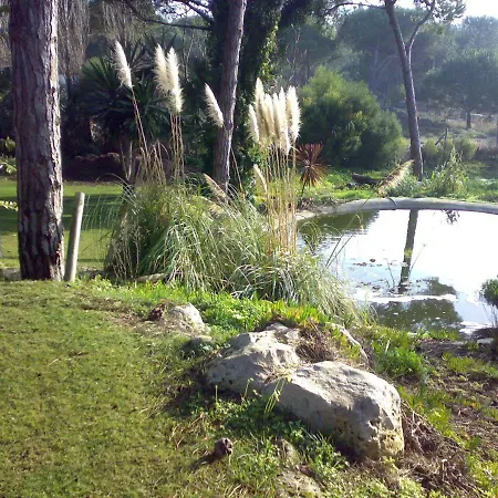 Com Jardim De Luxo