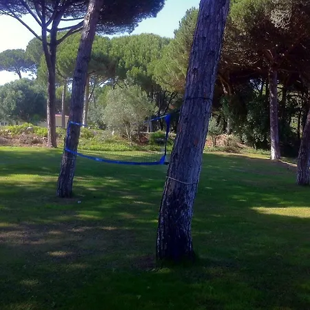 Com Jardim De Luxo Hébergement de vacances Sintra