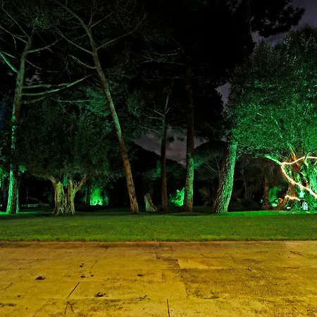 Com Jardim De Luxo Hébergement de vacances Sintra