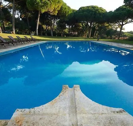 Com Jardim De Luxo *